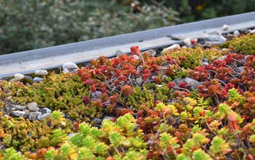 the cost of Cwm Mawr green roof installation