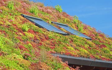 Cwm Mawr living roof systems