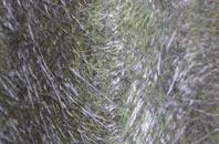 Cwm Mawr fibreglass roof work